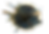 360 view.png