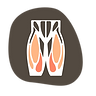 Soft tissue work to muscles and fascia of the body