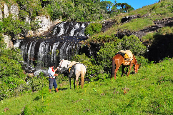 Gaucho-do-Brasil-Trail-Ride-Brazil-entre-orejas.png