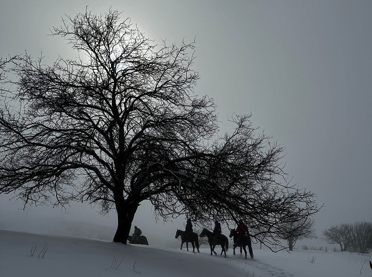 Expedition_ “The Kazakh Snow Ride”, Entre Orejas_edited.jpg