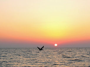 34102: An Artistic and Photo Journalistic Study of One of the Most Beautiful ZIP Codes in The United States.