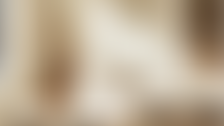 Designing and Furnishing Your Rental Property for Maximum Appeal and Functionality