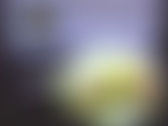 Lee County Restaurant Week Kickoff and Lunch at the Twisted Vine Bistro