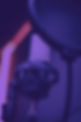 kontakt_bg.jpg