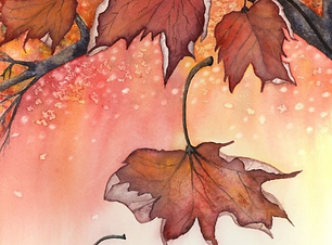 Screenshot 2024-06-16 at 12.10.58 PM.png