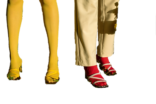 pexels-carlos-rubio-tristan-12357684.png