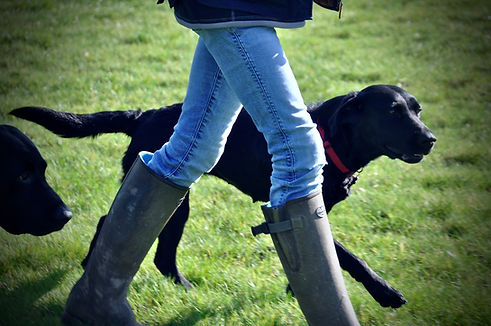 Jo at Happy Hounds Haslemere walking a dog 