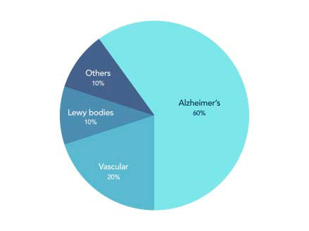 3 most common dementing diseases in elders