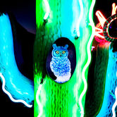 Ion-Art-Owls-on-Cactus