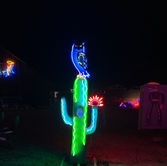 Ion-Art-Owls-on-Cactus