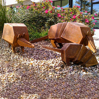 Armadillos-1024x602.jpf