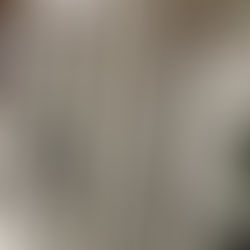 replacement windows home services business