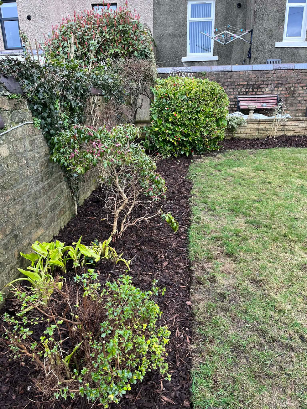 d17f91f1-450b-4a1a-b90a-797dbd6744f6