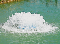 Immagine1.png