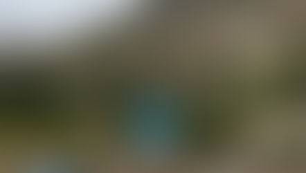 Some Recent Antics and Reflections