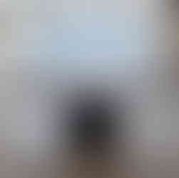 Sonnet #19 Live Edge Detroit