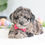 Thumbnail: Cookie