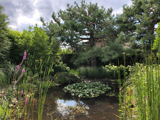 SteinerGartenbau_06.jpg