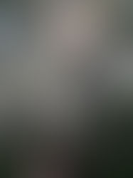 I See You All the Time, But It's Only In My Head