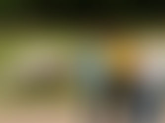 Does Equine Therapy Really Work? Exploring the Evidence