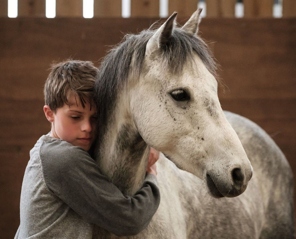 horse love boy