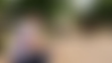 What do horses do during an equine therapy session?