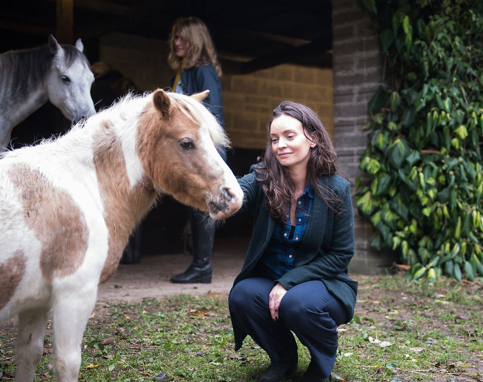 Track Clinic - Equine Assisted Psychotherapy and Coaching leader
