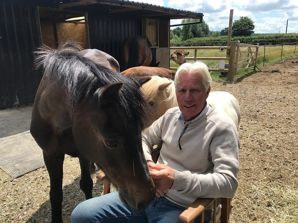 ptsd veteran horse therapy