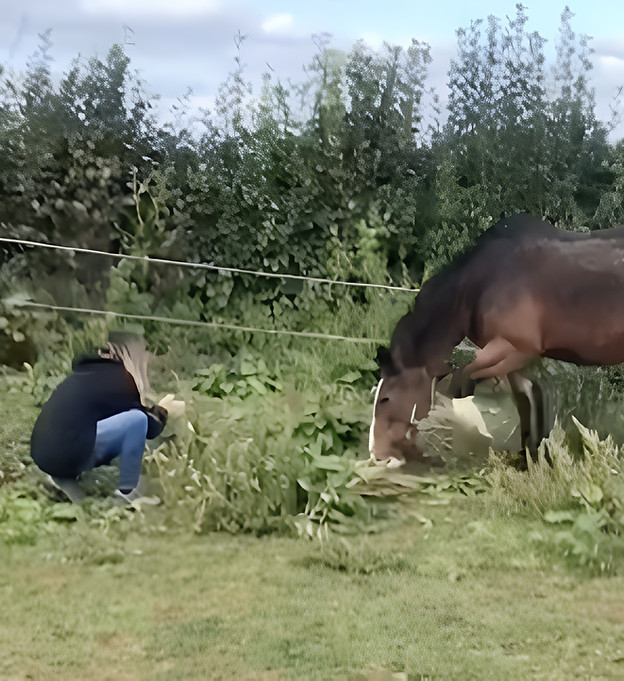 Team building countryside
