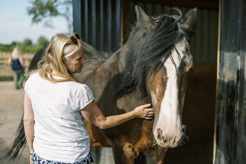 co-regulation with horses