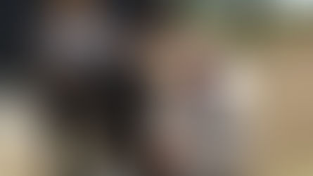 Healing the Invisible Wounds. Why Veterans Choose Equine Therapy at Track Clinic