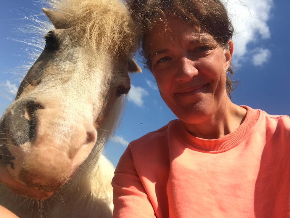 team building activity with horses in the countryside in nature with Nina