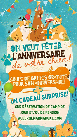 Blue Cartoon Dog Instagram Story
.jpg
