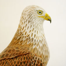 the red kite sculpture
sculpture milan royal
röd glada skulptur
bird sculpture
wildlife art
sculpture oiseau
fågel skulptur