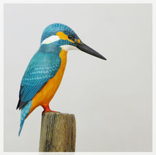 kingfisher sculpture
sculpture martin-pêcheur
kungsfiskare skulptur
bird sculpture
wildlife art
sculpture oiseau
fågel skulptur

