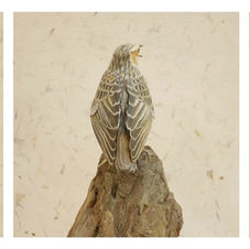 woodlark sculpture
alouette lulu sculpture
trädlärkal skulptur
bird sculpture
wildlife art
sculpture oiseau
fågel skulptur
