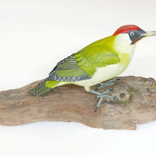 green woodpecker sculpture
sculpture pic vert
gröngöling skulptur
bird sculpture
wildlife art
sculpture oiseau
fågel skulptur