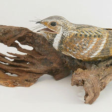 whip poor will sculpture
engoulevent bois pourri motteux
östlig skriknattskärra skulptur
bird sculpture
wildlife art
sculpture oiseau
fågel skulptur
bird
oiseau
fagel
