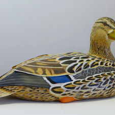 the mallard sculpture
sculpture canne colvert
gräsand käpp skulptur
bird sculpture
wildlife art
sculpture oiseau
fågel skulptur

