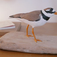 ringed plover sculpture
sculpture cgrand gravelot
större strandpipare skulptur
bird sculpture
wildlife art
sculpture oiseau
fågel skulptur