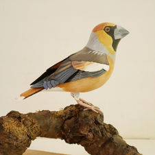 hawfinch sculpture
sculpture grosbec 
stenknäck skulptur
bird sculpture
wildlife art
sculpture oiseau
fågel skulptur