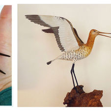 black-tailed godwit sculpture
sculpture barge à queue noire
rödspov skulptur
bird sculpture
wildlife art
sculpture oiseau
fågel skulptur
