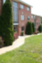 Picture 010