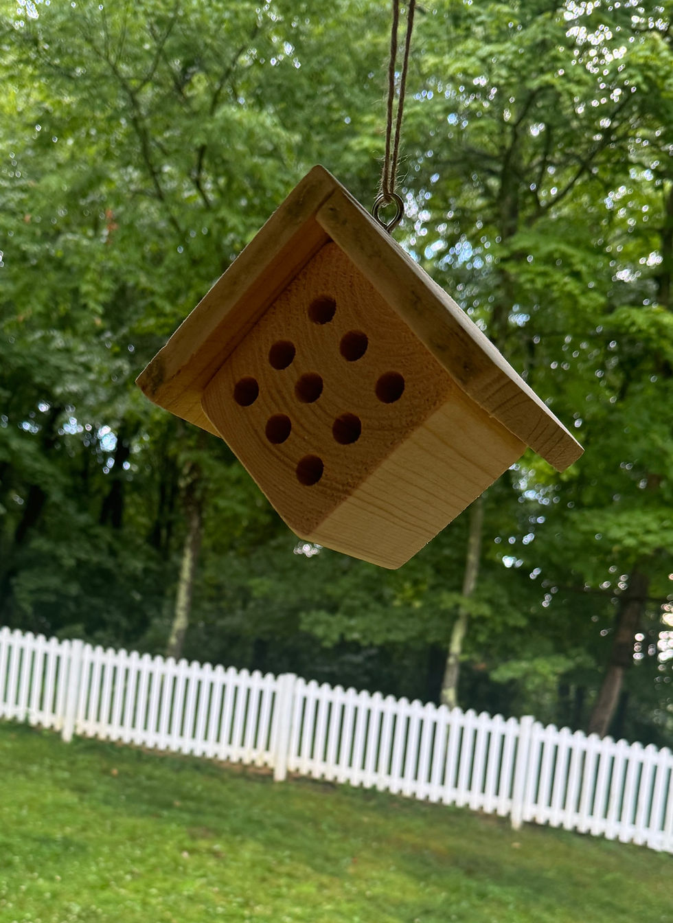 Thumbnail: Set of 2 Carpenter Bee Hotels Protective Habitat Egg Laying Hibernate Mason Bore