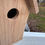 Thumbnail: Cedar Bird House with Chain for hanging Blue Birds Swallow Hairy Woodpecker Wren