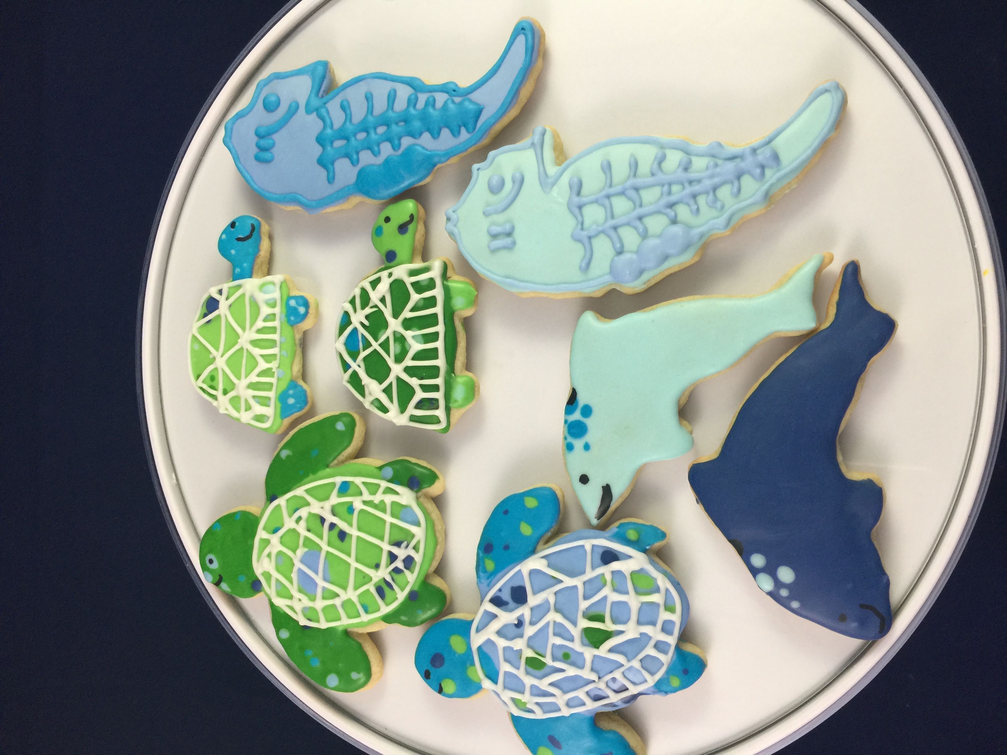 Photos Sweet Southern Bella S Bakery Photos Sweet Southern Bella S Bakery