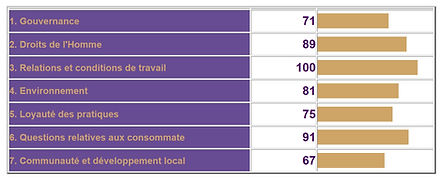 Exemple de résultat suite au questionnaire Diag 26000