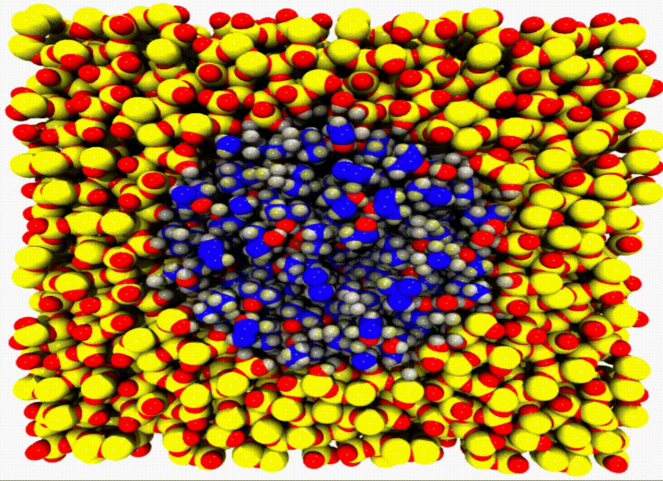 Nanopores.gif