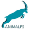 animalps_productions_logo copie.png