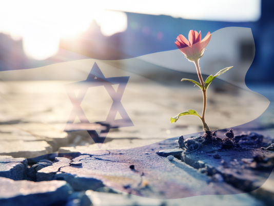 From the Rabbis Shtender – Parshat Vayera